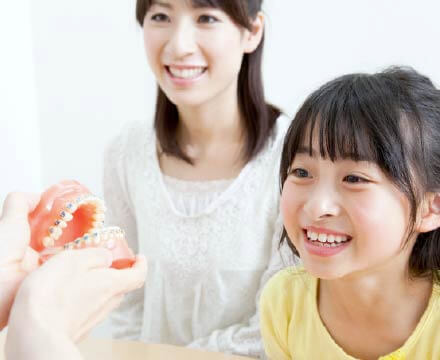 母親と一緒に、歯のモデルを使用した医師の説明を聞いている女の子。